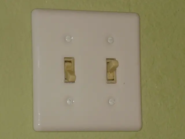 High-Performance Networking Equipment: Managed Gigabit Switches