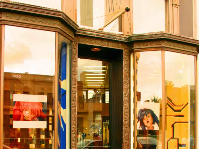 Project for Building Portfolio with MatchDog: Displaying Screens and Content for Showcasing