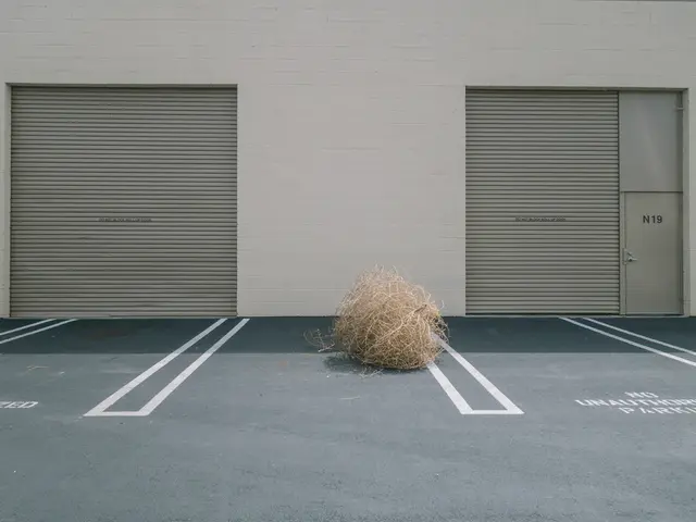 Quantum Observation Uncovers Light Persisting Across Multiple Dimensional Realms