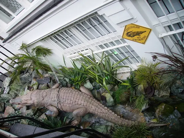 Digital platform SOURCE initiated in Senegal to simplify Public-Private Partnership contracts