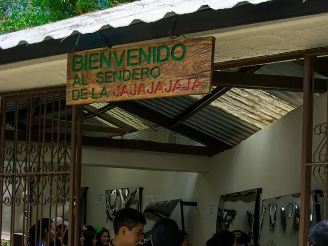 Crypto companies in Nigeria are now required to establish local offices as a prerequisite for...