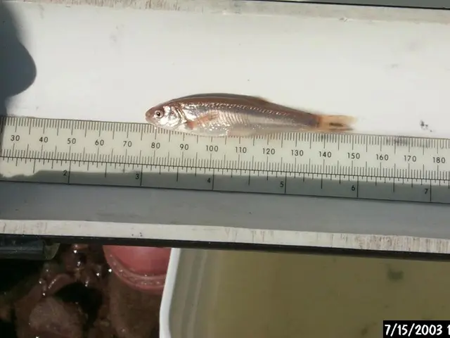 Discussion Between Sara Walker and Our Writer on Time and Awareness