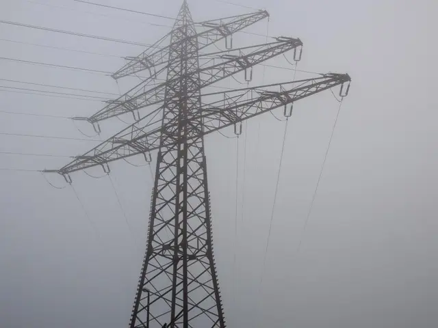 Dubai sees the construction of 1,530 new power substations in 2024, powering the city's swift...