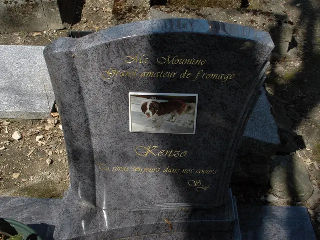 Data privacy rights for deceased individuals should extend to include the ability to delete...