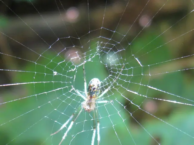 Launched: Sapphire 2023