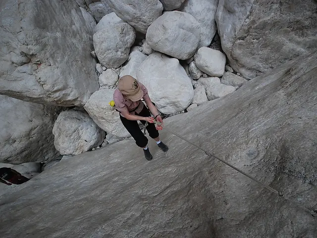 Pokemon GO Counters and Team Composition (Pleasant Periods Dominated)