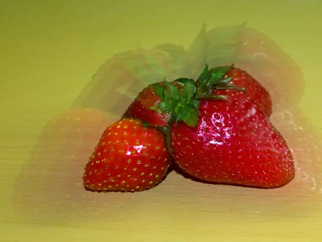 Artificial intelligence aids in strawberry picking: Automation of farms through harvesting robots