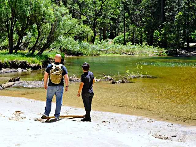 MoneyGram teams up with Plaid to introduce Pay by Bank service in the United States