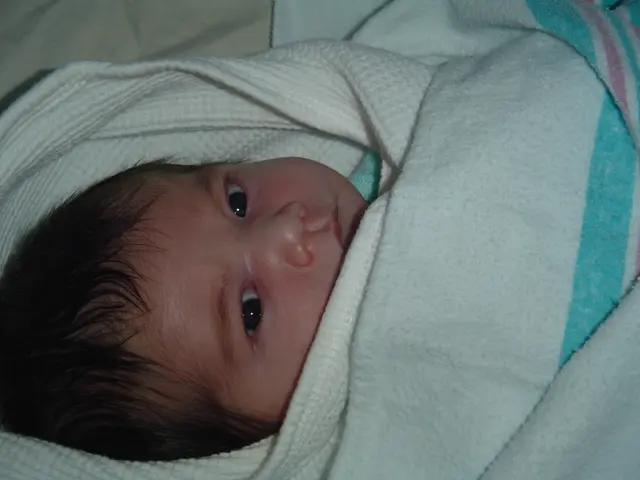 Child Themes Enhancements in WordPress Plugins for the Year 2024