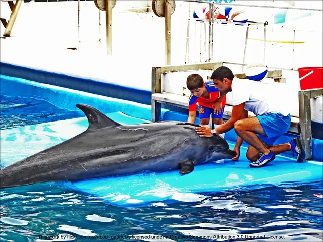 Camera Review: GoPro Hero9 Black Edition