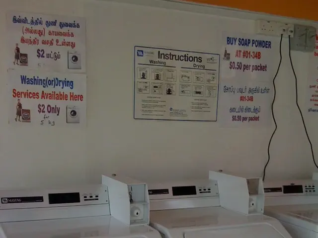 Bridal Boutiques and Blockchain Technology Shift in Labubu Town’s Trends