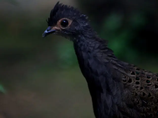 Reinforcing Research and Innovation (R&I) portfolio in Southeast Asia, Bird & Bird makes strategic...