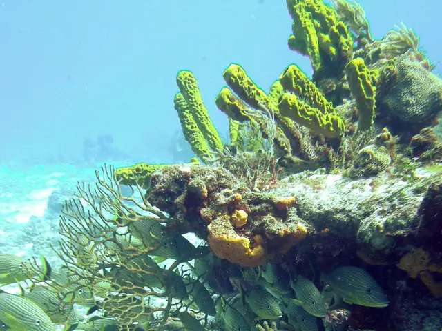 Kraken KR-S02 Strobe Evaluation: An Analysis of Its Performance