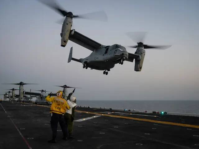 Automaker Ford appoints fresh design executive