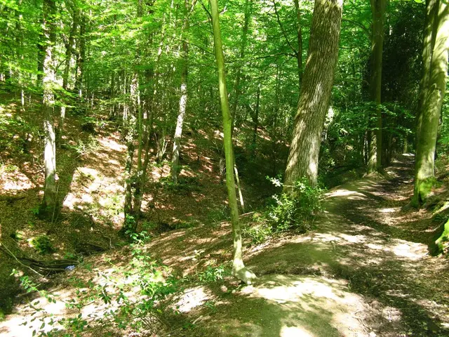 TreeGen sets new Guinness World Record by planting over 30,000 trees in a single day.