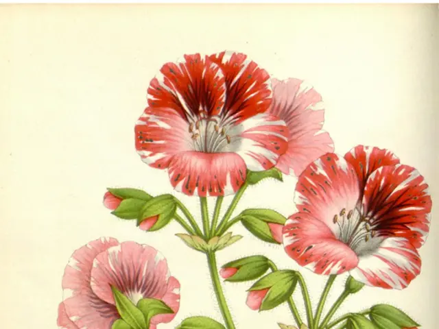 "The first region in Silksong was added after Team Cherry deemed it necessary for a more gentle...