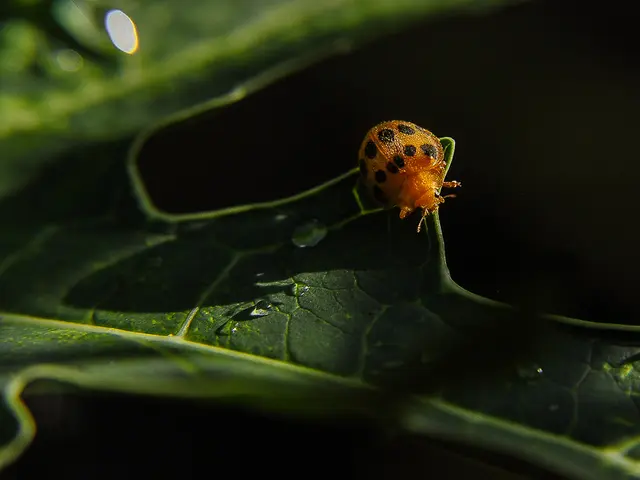 Security flaw in SAP systems exposure: Onapsis and Mandiant unveil open-source tool for attack...