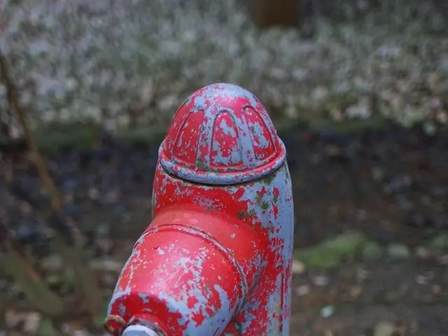 Exploring Infrequent Sights: Journey Along the Rhine River at Koblenz