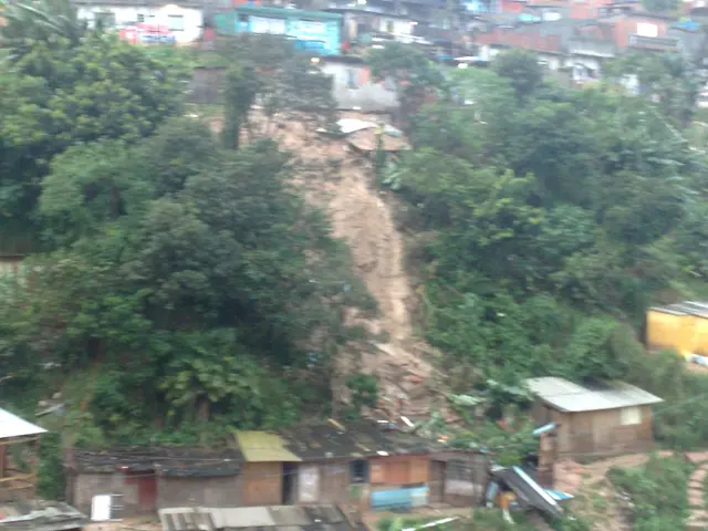 Top Choice for Programming DSA (Data Structures and Algorithms): A Pick