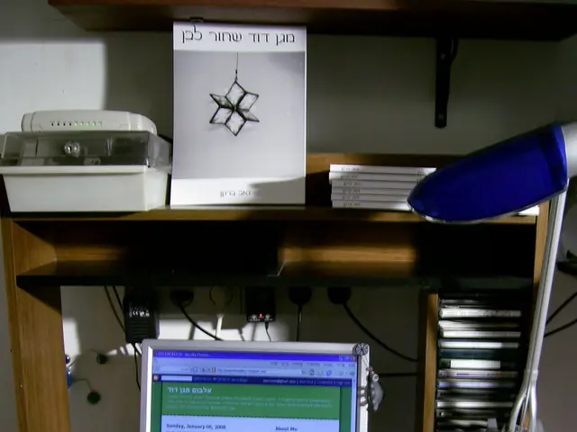 Examining Display Functionality: The Methods Used to Assess Computer Monitors