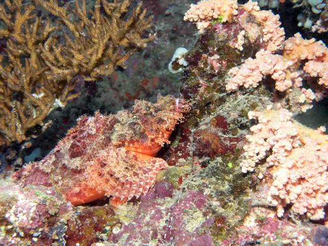 Beneath the Ocean's Depths of 4,000 Meters, Researchers Discover Astonishing 'Dark Oxygen'