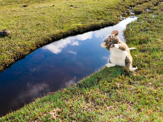 Cryptocurrency Exchange-Traded Funds (ETFs), specifically those for XRP and DOGE, are Igniting the...