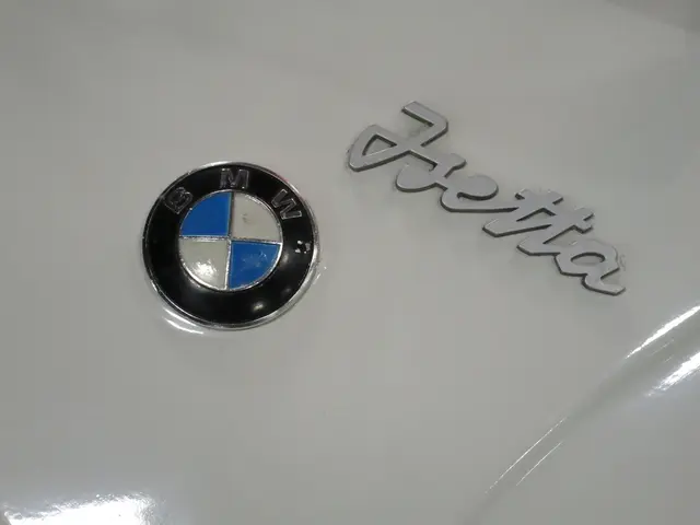 This picture shows a car bonnet with a emblem and text on it.