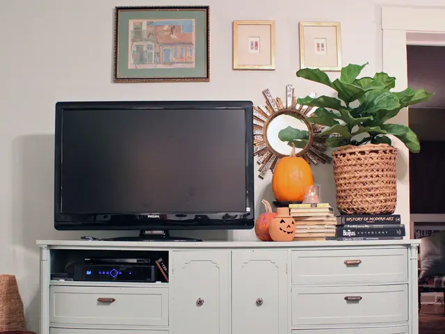 In this image there is a television, pumpkins , plant in a pot, books on the cupboard , DVD player,...