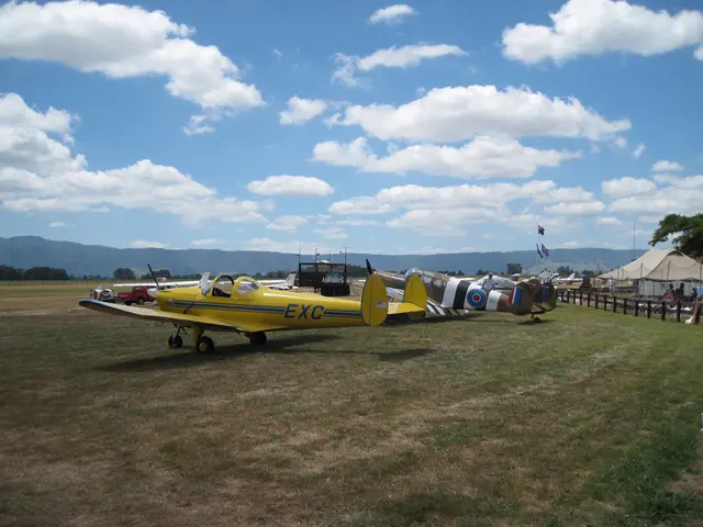 In this image there are airplanes and vehicles on the grass, there are tents, flags with the poles,...