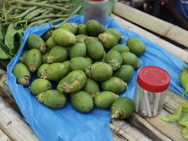 In this image I can see few wooden logs which are white and cream in color and on it I can see a...